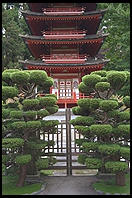 Japanese tea garden. Golden Gate Park. San Francisco, California