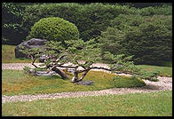 Japanese tea garden. Golden Gate Park. San Francisco, California