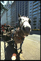 Manhattan, 1995.