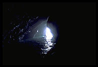 Inside a cave in the Bay of Islands, North Island, New Zealand.