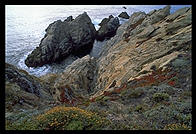 Cove at Point Lobos. California Coast, just south of Carmel.