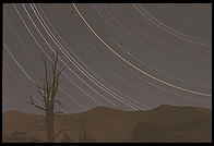 Star
Streak.  Ancient Bristlecone Pine Forest (around 10,500 feet above sea
level).  California.