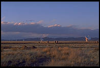 Very Large Array radio telescope, Socorro, New Mexico