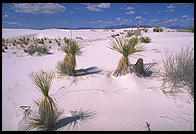 White Sands National Monument, New Mexico
