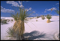 White Sands National Monument, New Mexico