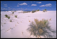 White Sands National Monument, New Mexico