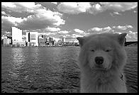 George by the Charles River Basin