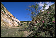 Healy Canyon (Alaska)