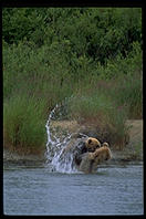 Katmai National Park, Alaska.