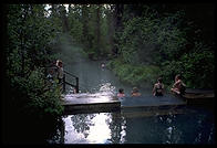 The Liard Hot Springs along the Alaska Highway.