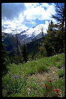 Mt. Rainier (Washington State).