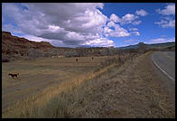 New Mexico