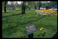 The grave of a young woman killed in the Prague Spring