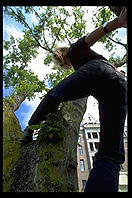 Elke in a tree. Victoria, British Columbia 1993.