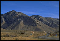 Guadalupe Mountains National Park, Texas