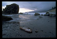 Ruby Beach, Olympic National Park (Washington)