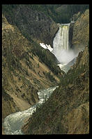 Yellowstone Falls