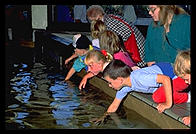 Kids. Monterey Aquarium. California.