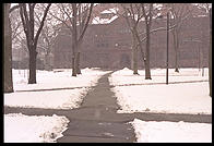 Winter.  Harvard Yard.