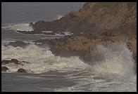 California coast. Cambria.