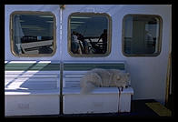 On the ferry from Woods Hole, Massachusetts to Vineyard Haven (Martha's Vineyard)