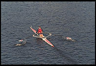 Head of the Charles Regatta, Sunday, October 18, 1998.  From the footbridge to Harvard Business School