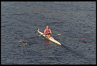 Head of the Charles Regatta, Sunday, October 18, 1998.  From the footbridge to Harvard Business School