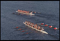 Head of the Charles Regatta, Sunday, October 18, 1998.  From the footbridge to Harvard Business School