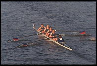 Head of the Charles Regatta, Sunday, October 18, 1998.  From the footbridge to Harvard Business School