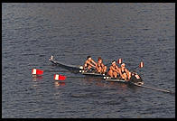 Head of the Charles Regatta, Sunday, October 18, 1998.  From the footbridge to Harvard Business School