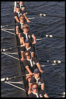 Head of the Charles Regatta, Sunday, October 18, 1998.  From the footbridge to Harvard Business School