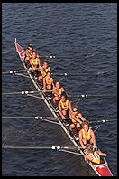 Head of the Charles Regatta, Sunday, October 18, 1998.  From the footbridge to Harvard Business School