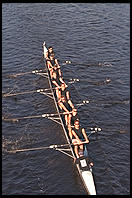 Head of the Charles Regatta, Sunday, October 18, 1998.  From the footbridge to Harvard Business School