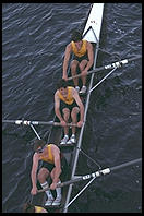 Head of the Charles Regatta, Sunday, October 18, 1998.  From the footbridge to Harvard Business School