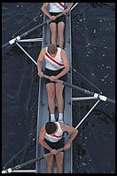 Head of the Charles Regatta, Sunday, October 18, 1998.  From the footbridge to Harvard Business School