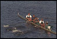 Head of the Charles Regatta, Sunday, October 18, 1998.  From the footbridge to Harvard Business School