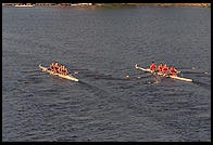 Head of the Charles Regatta, Sunday, October 18, 1998.  From the footbridge to Harvard Business School