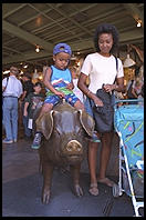 Brass pig sculpture in the Public Market, Seattle, Washington