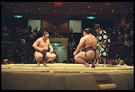 Sumo Competition.  Ryogoku District.  Tokyo