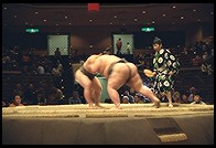 Sumo Competition.  Ryogoku District.  Tokyo