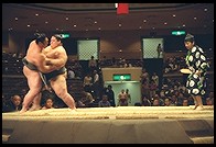 Sumo Competition.  Ryogoku District.  Tokyo