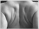 Back.