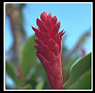 Hawaii.