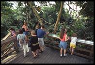 National Aquarium.  Baltimore Harbor.