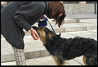 Woman and dog.  Madrid, Spain