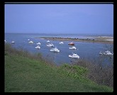 View from backyard, 470 Shore Road, Chatham