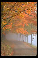 A misty morning a little bit north of Woodstock, Vermont