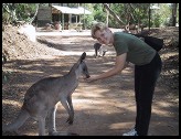 Digital photo titled eve-feeding-roo