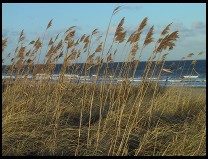 Digital photo titled cape-cod-national-seashore