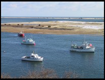 Digital photo titled shore-road-view